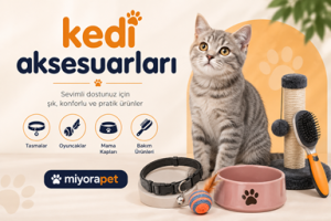 KEDİ AKSESUARLARI